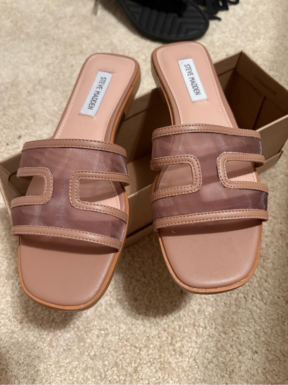 Steve Madden sandal